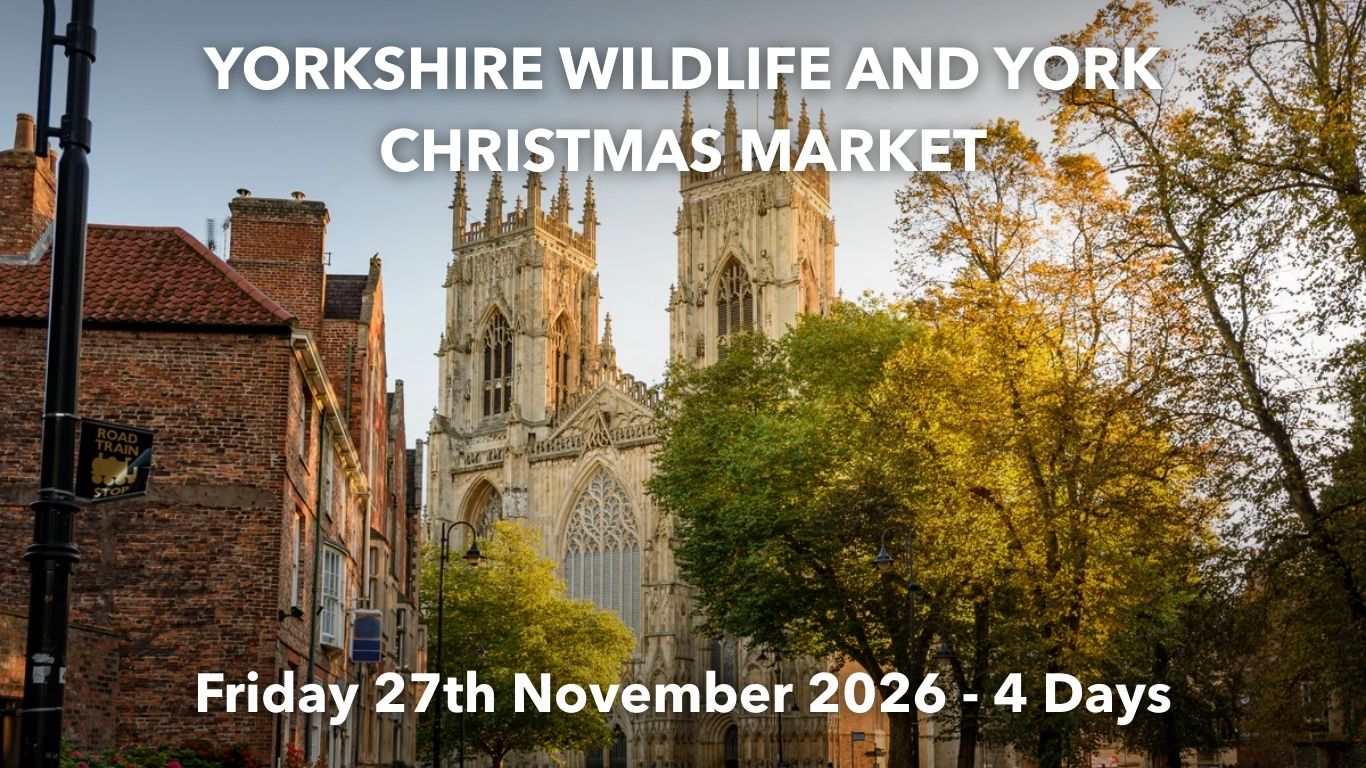 YORKSHIRE WILDLIFE AND YORK CHRISTMAS MARKET | Friday 27th November 2026 - 4 Days