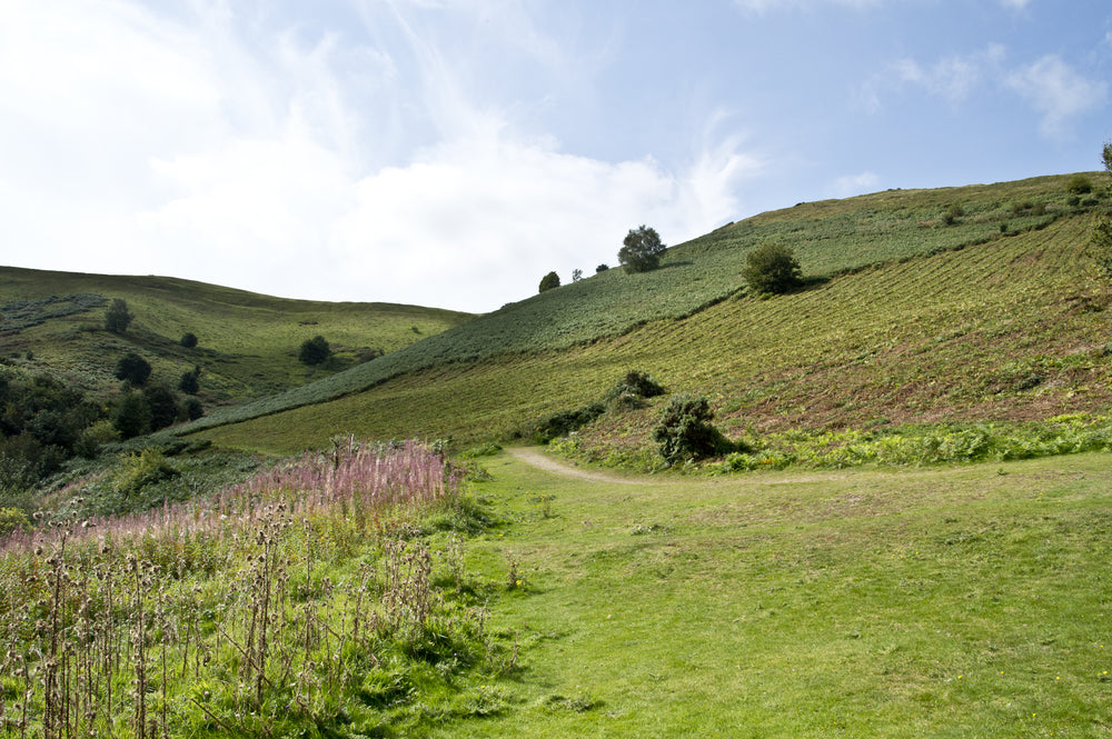 HEART OF ENGLAND & MALVERN | Monday 1st March 2027 - 5 Days