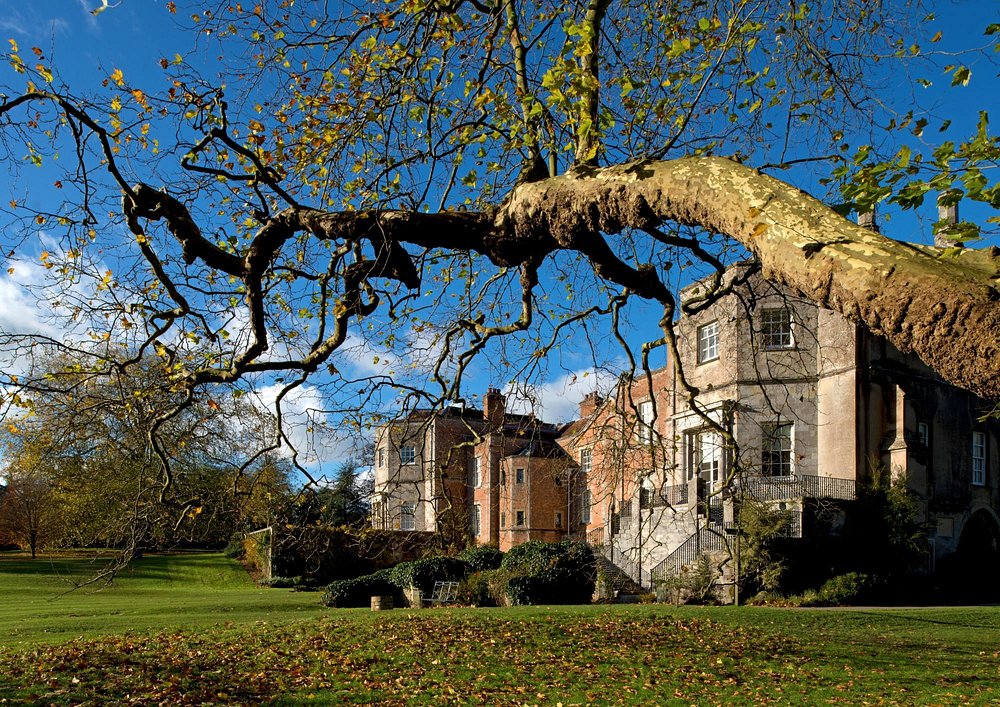 MOTTISFONT ABBEY, NEW FOREST & MARITIME HERRITAGE | Monday 21st June 2027 - 5 Days